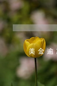 美金逾期申报对公司有什么影响 美金逾期申报对公司有什么影响