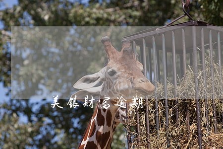 美银财富逾期 美银财富逾期
