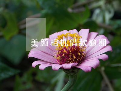 美颜相机借款逾期 美颜相机借款逾期