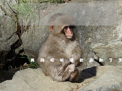 美颜相机借款逾期了怎么办 美颜相机借款逾期了怎么办