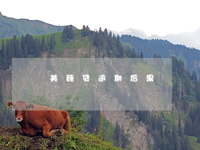 美颜贷逾期后果 美颜贷逾期后果