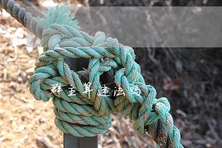 群主算违法吗