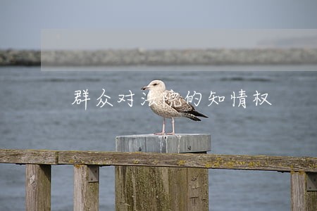群众对法院的知情权 群众对法院的知情权