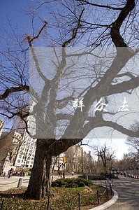 群众法律咨询问题汇总