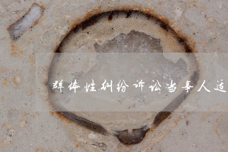 群体性纠纷诉讼当事人适格之探讨 群体性纠纷诉讼当事人适格之探讨