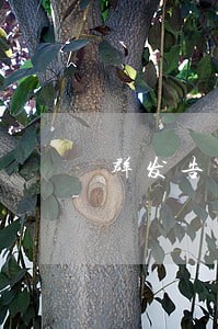 群发告知网贷逾期 群发告知网贷逾期