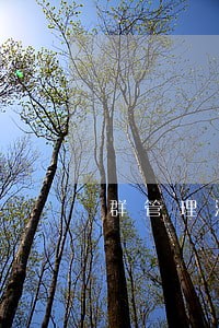 群管理法规 群管理法规