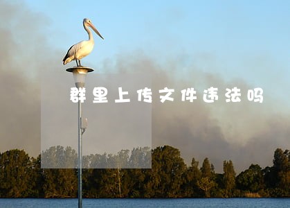 群里上传文件违法吗 群里上传文件违法吗