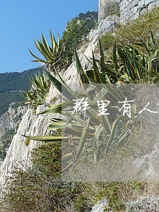 群里有人问逾期的客户 群里有人问逾期的客户