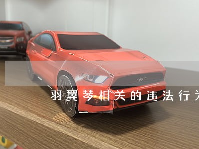 羽翼琴相关的违法行为