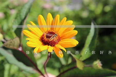 翁友冠律师解答了你好各位律师 翁友冠律师解答了你好各位律师