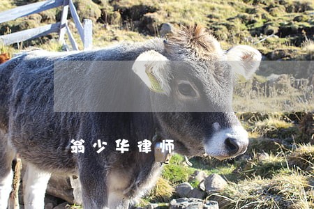 翁少华律师