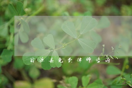 翁源县免费律师咨询 翁源县免费律师咨询