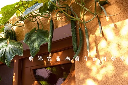 翁源宅基地赠与合同律师 翁源宅基地赠与合同律师