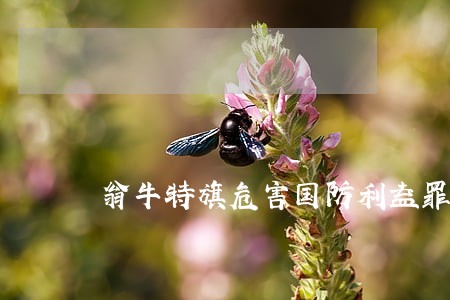 翁牛特旗危害国防利益罪诉讼律师 翁牛特旗危害国防利益罪诉讼律师