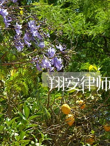 翔安律师咨询怎么收费 翔安律师咨询怎么收费