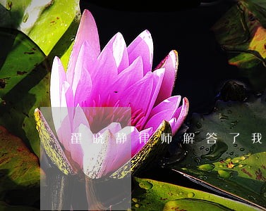 翟晓静律师解答了我去医院 翟晓静律师解答了我去医院