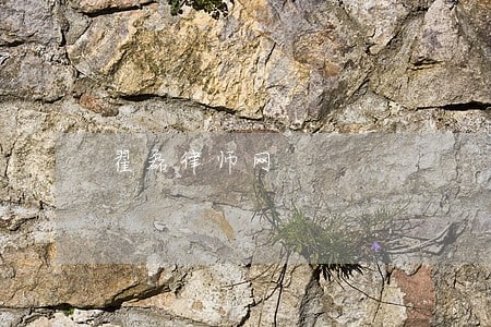 翟磊律师网