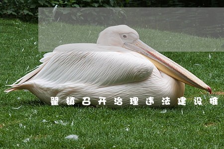 翟镇召开治理违法建设推进会 翟镇召开治理违法建设推进会