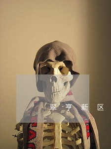翠亨新区外商投资律师咨询电话 翠亨新区外商投资律师咨询电话