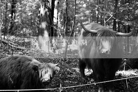 翰中财富逾期 翰中财富逾期