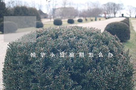翰华小贷逾期怎么办