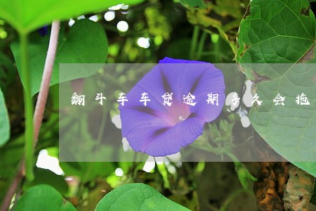 翻斗车车贷逾期多久会拖车 翻斗车车贷逾期多久会拖车