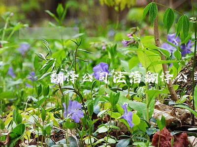 翻译公司法语翻译公司 翻译公司法语翻译公司