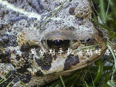 翼分期手机逾期对房贷有影响吗 翼分期手机逾期对房贷有影响吗