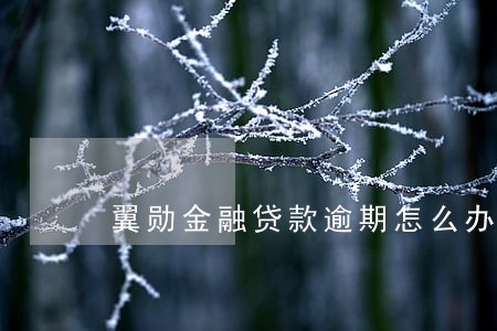 翼勋金融贷款逾期怎么办 翼勋金融贷款逾期怎么办