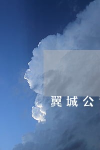 翼城公司清算律师 翼城公司清算律师
