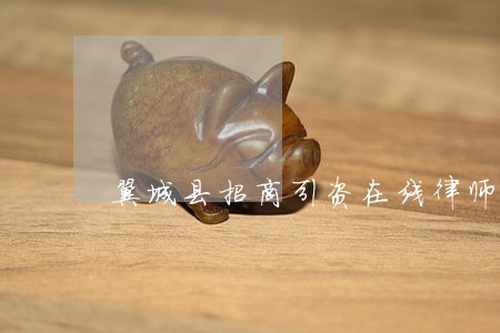 翼城县招商引资在线律师 翼城县招商引资在线律师