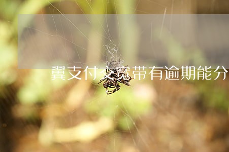 翼支付交宽带有逾期能分配吗 翼支付交宽带有逾期能分配吗