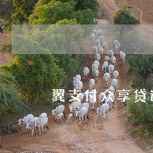 翼支付众享贷逾期 翼支付众享贷逾期
