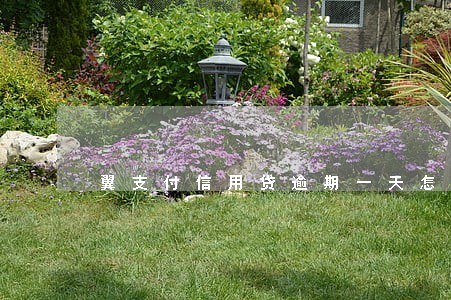 翼支付信用贷逾期一天怎样还 翼支付信用贷逾期一天怎样还