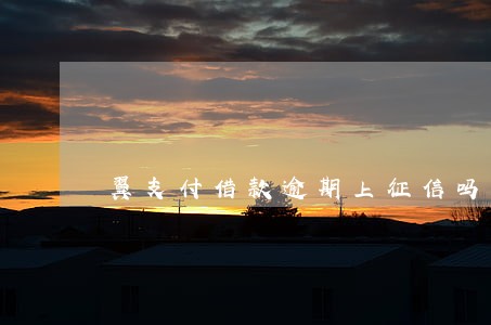 翼支付借款逾期上征信吗