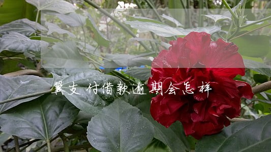 翼支付借款逾期会怎样 翼支付借款逾期会怎样