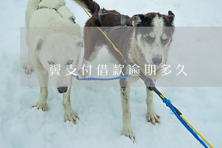 翼支付借款逾期多久 翼支付借款逾期多久