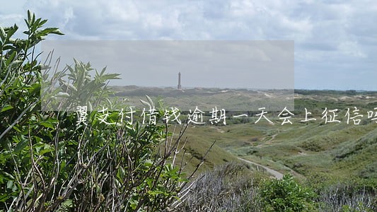 翼支付借钱逾期一天会上征信吗 翼支付借钱逾期一天会上征信吗