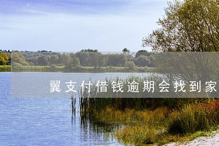 翼支付借钱逾期会找到家里去吗 翼支付借钱逾期会找到家里去吗