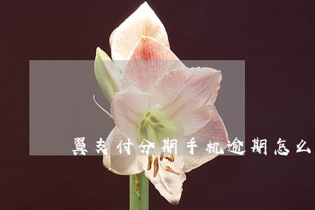 翼支付分期手机逾期怎么还上 翼支付分期手机逾期怎么还上