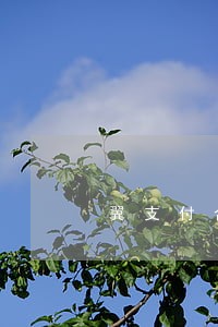 翼支付合约机逾期了 翼支付合约机逾期了