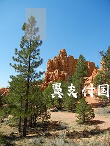 翼支付国投小贷借款逾期 翼支付国投小贷借款逾期