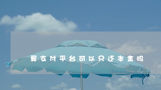 翼支付平台可以只还本金吗 翼支付平台可以只还本金吗