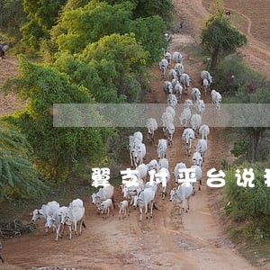 翼支付平台说我逾期 翼支付平台说我逾期