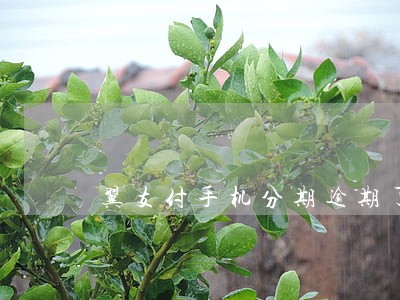 翼支付手机分期逾期了怎么办 翼支付手机分期逾期了怎么办