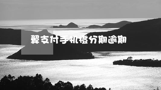 翼支付手机橙分期逾期 翼支付手机橙分期逾期