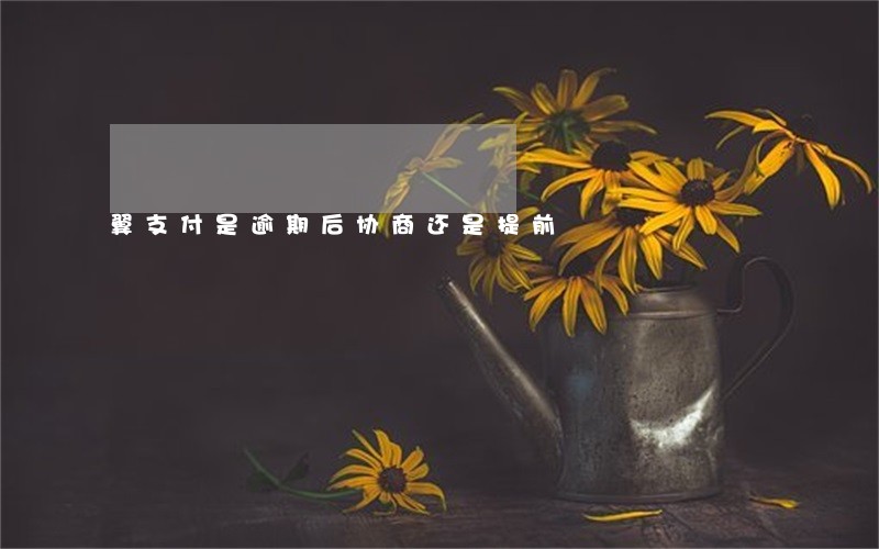 翼支付是逾期后协商还是提前