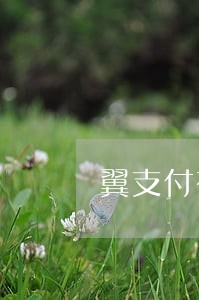 翼支付有没有逾期的朋友 翼支付有没有逾期的朋友