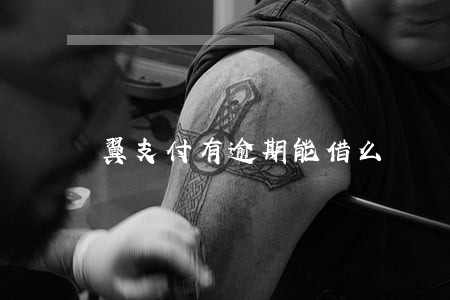 翼支付有逾期能借么 翼支付有逾期能借么